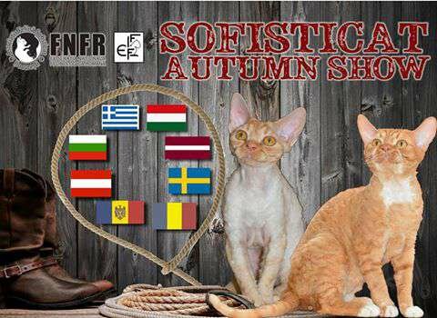 12046726_10153552070337159_164489572210844174_n