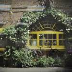 12336464_10207142101567596_299865375_n