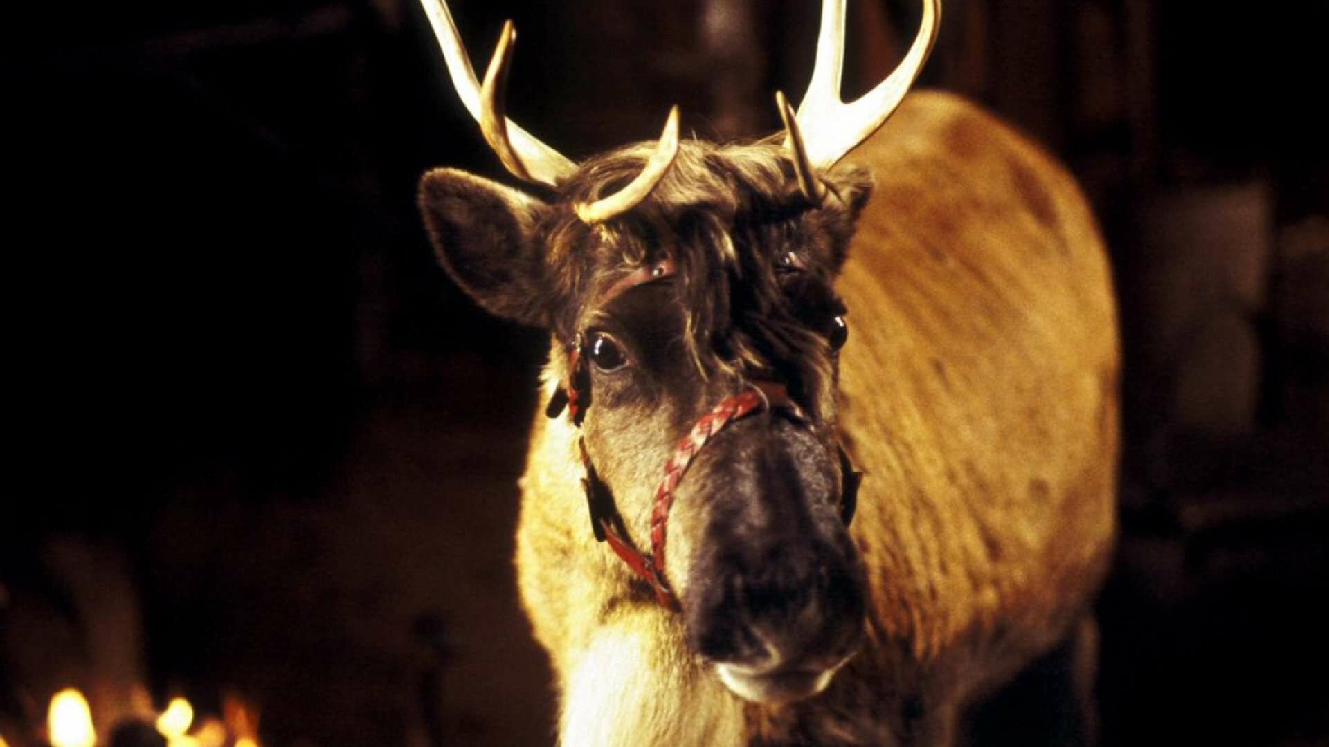 7l0galEUi2mjzylCr3c2av43XfF