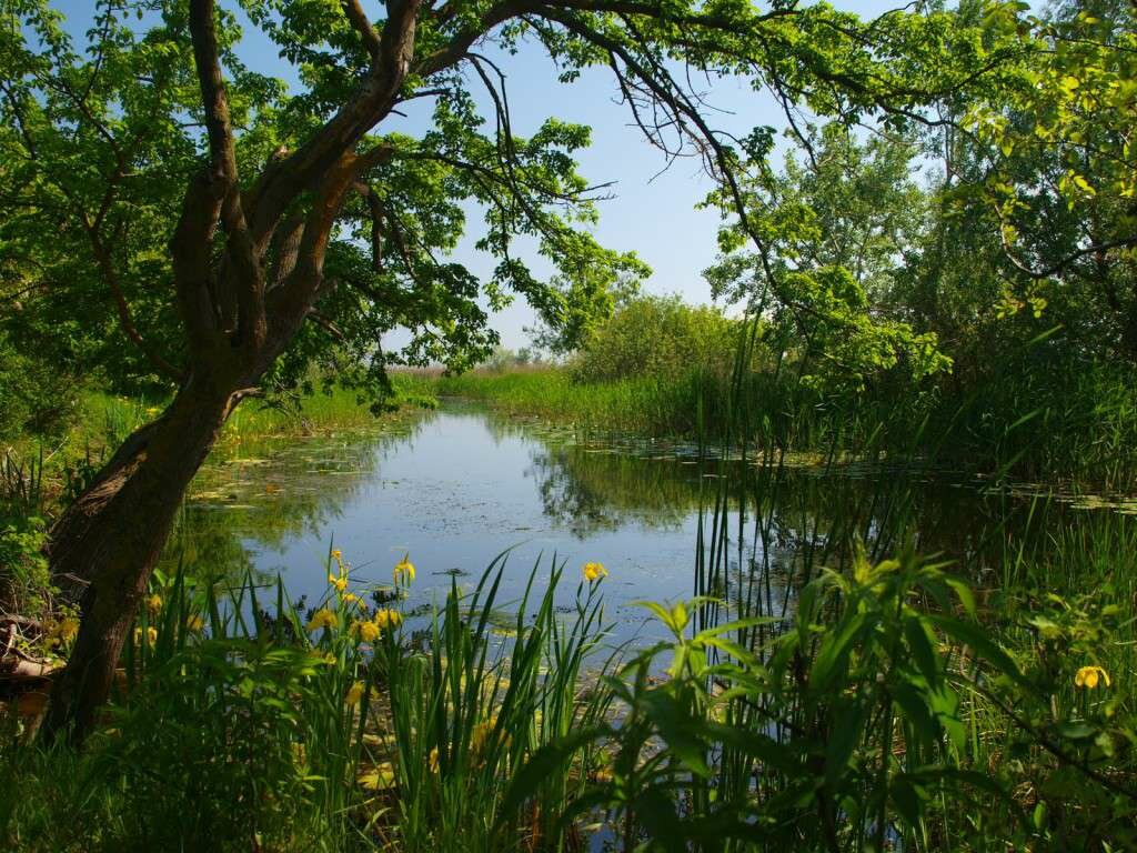 danube-delta-romania-black-sea-delta-dunarii-5-beautiful-landscapes-scenery