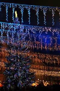 tumblr_nyr3p7Ulzl1u6pn9po4_1280