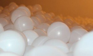 12755420_10205155718204232_1676928795_o