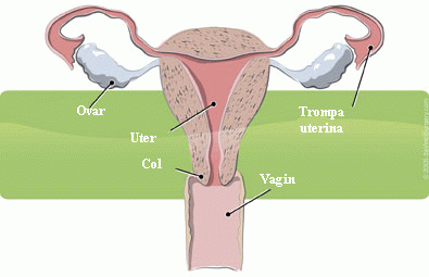 chirurgierobotica.ro