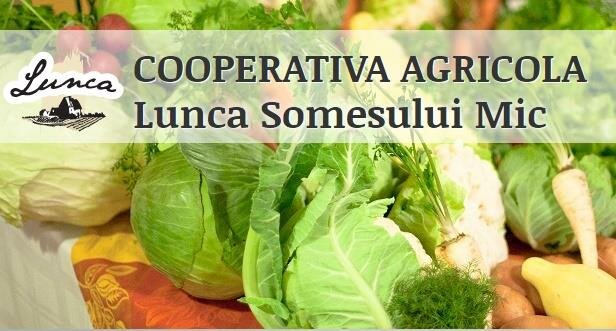 managerexpress.ro