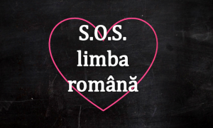 hyperliteratura-interviu-s-o-s-limba-romana